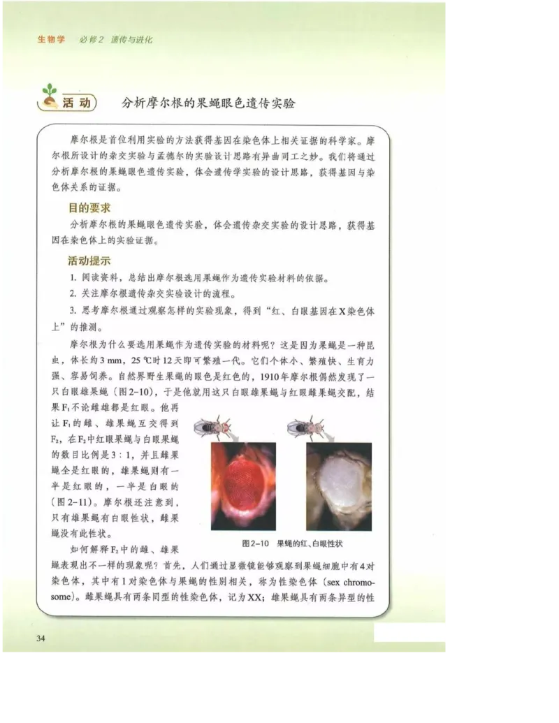 2019新浙科版高中生物必修2《遗传与进化》电子课本_4-教培资料-26年最新资料-同步更新_初中高中教资_03科三专项（进去保存报考的学科即可）_112025高中科目（全）电子教材