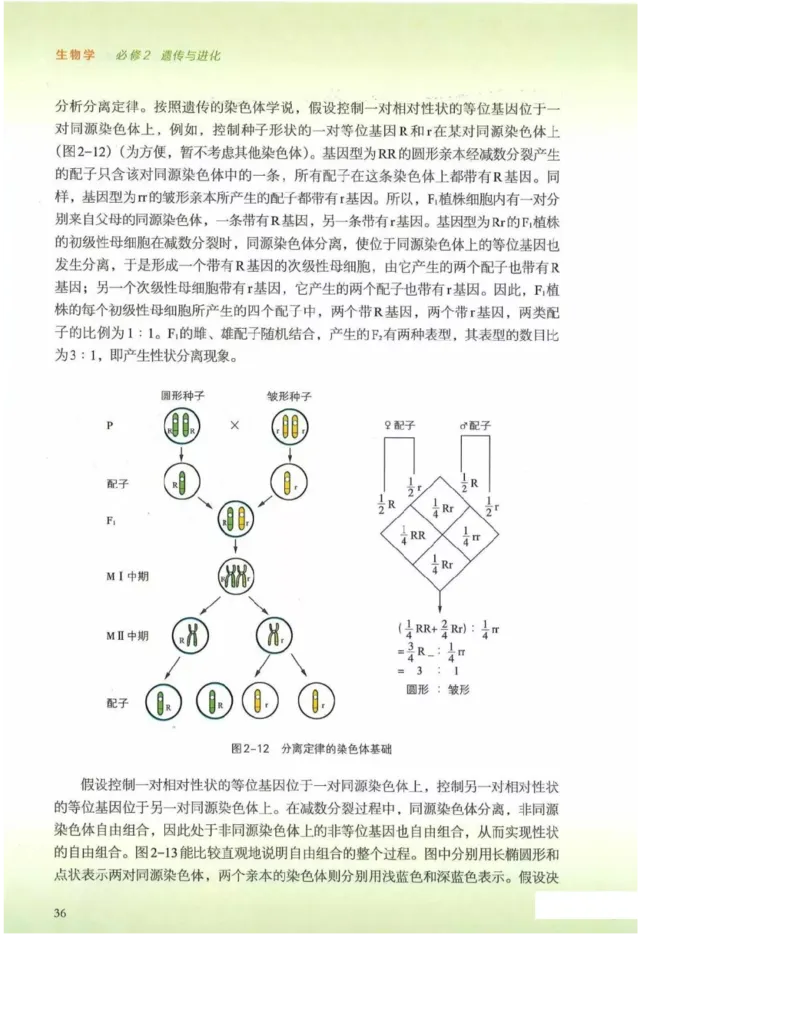 2019新浙科版高中生物必修2《遗传与进化》电子课本_4-教培资料-26年最新资料-同步更新_初中高中教资_03科三专项（进去保存报考的学科即可）_112025高中科目（全）电子教材