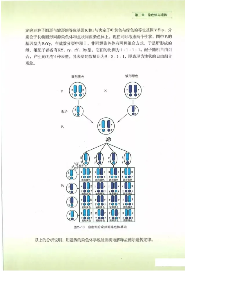 2019新浙科版高中生物必修2《遗传与进化》电子课本_4-教培资料-26年最新资料-同步更新_初中高中教资_03科三专项（进去保存报考的学科即可）_112025高中科目（全）电子教材