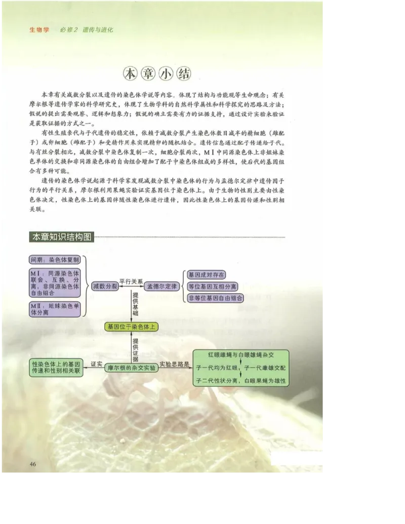 2019新浙科版高中生物必修2《遗传与进化》电子课本_4-教培资料-26年最新资料-同步更新_初中高中教资_03科三专项（进去保存报考的学科即可）_112025高中科目（全）电子教材