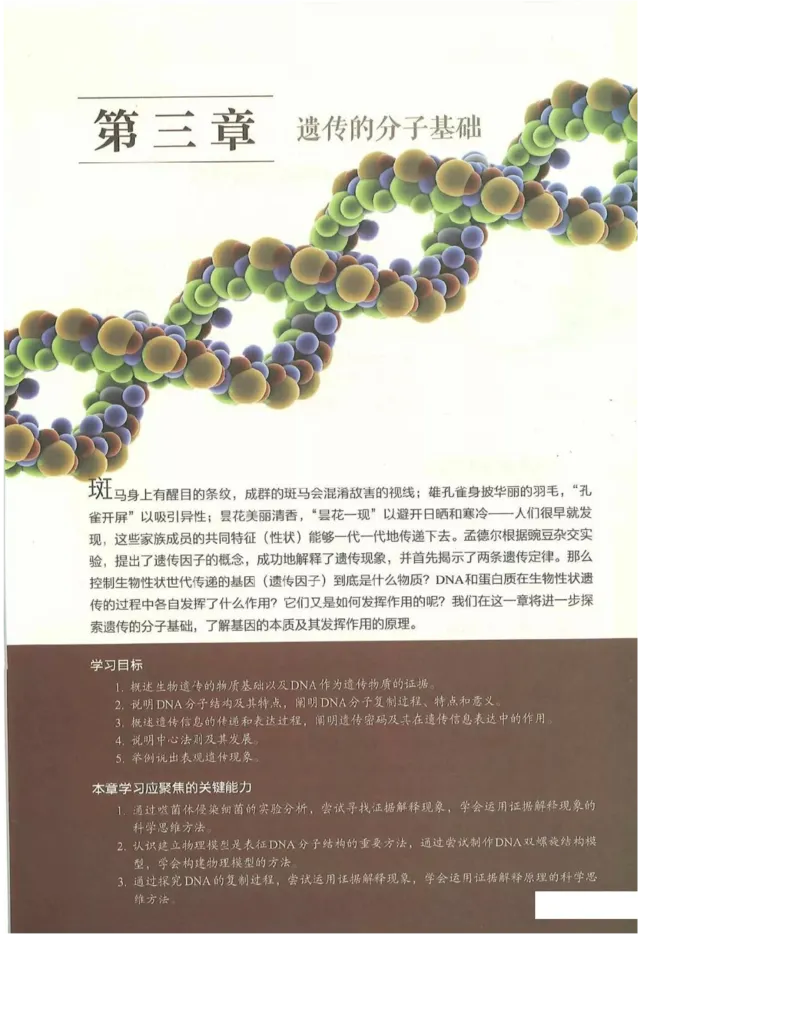 2019新浙科版高中生物必修2《遗传与进化》电子课本_4-教培资料-26年最新资料-同步更新_初中高中教资_03科三专项（进去保存报考的学科即可）_112025高中科目（全）电子教材