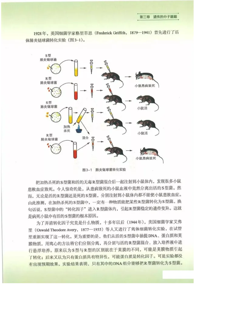 2019新浙科版高中生物必修2《遗传与进化》电子课本_4-教培资料-26年最新资料-同步更新_初中高中教资_03科三专项（进去保存报考的学科即可）_112025高中科目（全）电子教材