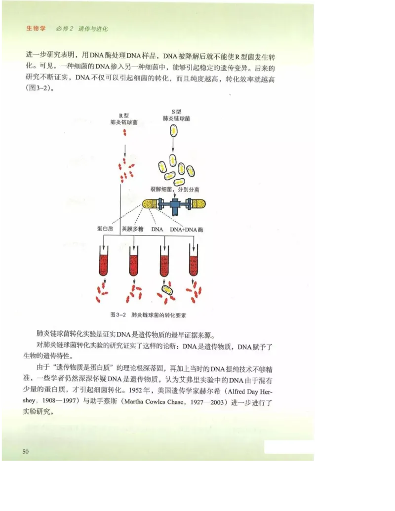 2019新浙科版高中生物必修2《遗传与进化》电子课本_4-教培资料-26年最新资料-同步更新_初中高中教资_03科三专项（进去保存报考的学科即可）_112025高中科目（全）电子教材