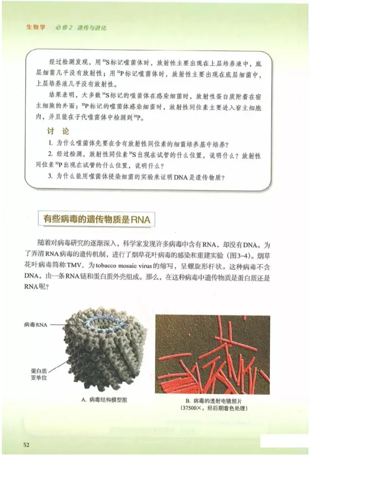 2019新浙科版高中生物必修2《遗传与进化》电子课本_4-教培资料-26年最新资料-同步更新_初中高中教资_03科三专项（进去保存报考的学科即可）_112025高中科目（全）电子教材