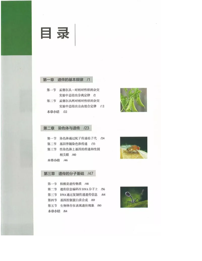 2019新浙科版高中生物必修2《遗传与进化》电子课本_4-教培资料-26年最新资料-同步更新_初中高中教资_03科三专项（进去保存报考的学科即可）_112025高中科目（全）电子教材