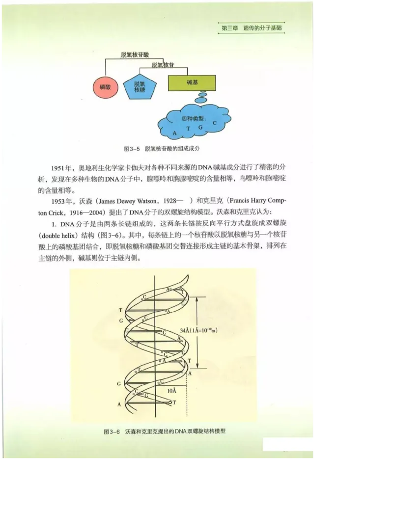 2019新浙科版高中生物必修2《遗传与进化》电子课本_4-教培资料-26年最新资料-同步更新_初中高中教资_03科三专项（进去保存报考的学科即可）_112025高中科目（全）电子教材