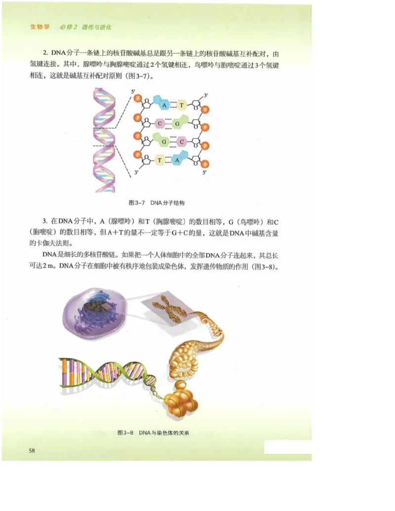 2019新浙科版高中生物必修2《遗传与进化》电子课本_4-教培资料-26年最新资料-同步更新_初中高中教资_03科三专项（进去保存报考的学科即可）_112025高中科目（全）电子教材