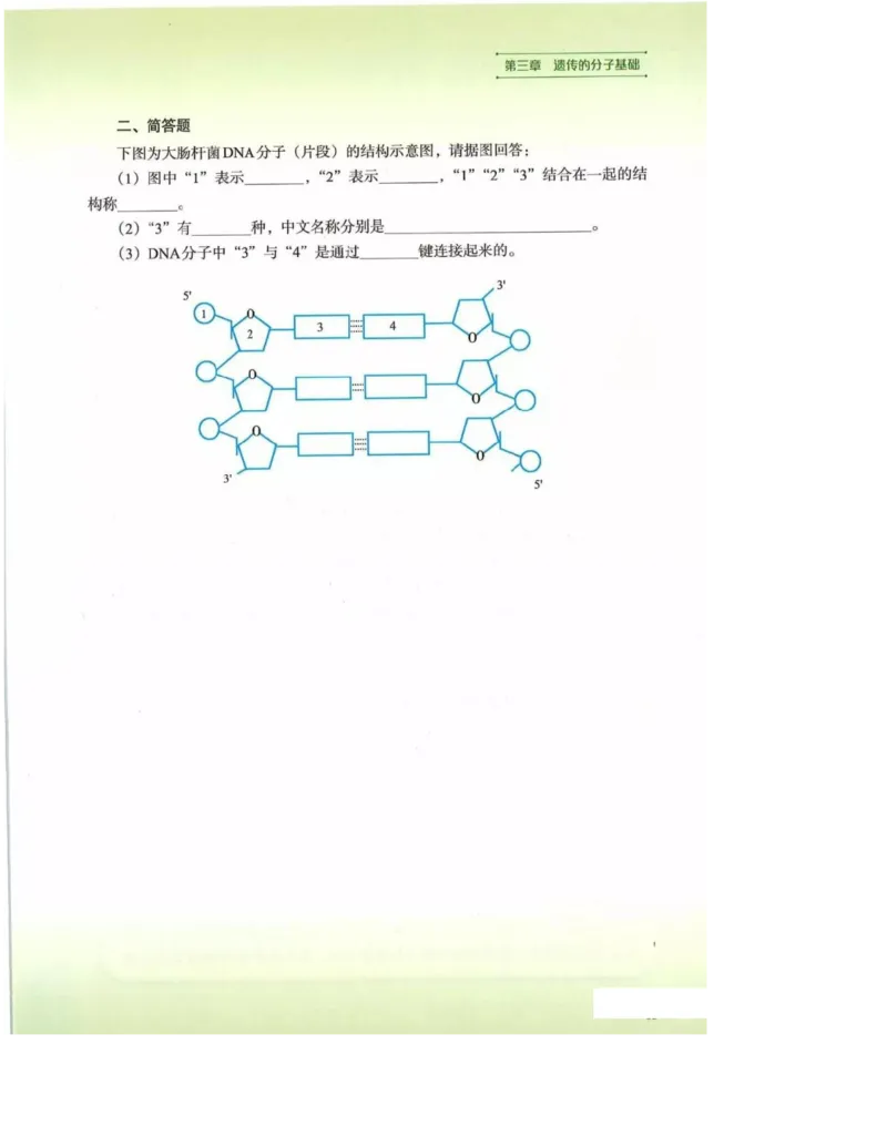 2019新浙科版高中生物必修2《遗传与进化》电子课本_4-教培资料-26年最新资料-同步更新_初中高中教资_03科三专项（进去保存报考的学科即可）_112025高中科目（全）电子教材