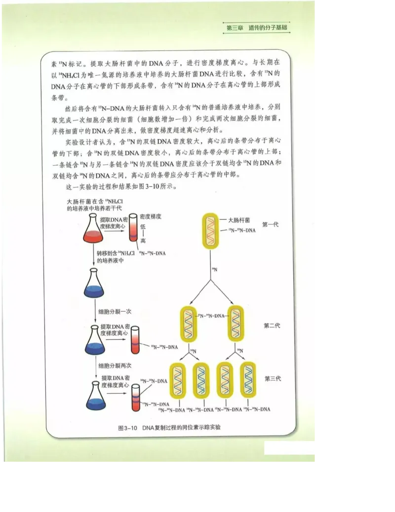 2019新浙科版高中生物必修2《遗传与进化》电子课本_4-教培资料-26年最新资料-同步更新_初中高中教资_03科三专项（进去保存报考的学科即可）_112025高中科目（全）电子教材