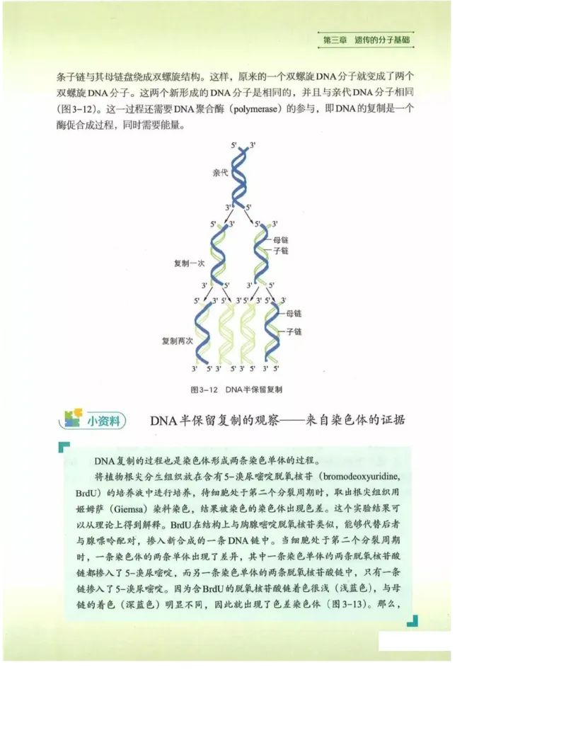 2019新浙科版高中生物必修2《遗传与进化》电子课本_4-教培资料-26年最新资料-同步更新_初中高中教资_03科三专项（进去保存报考的学科即可）_112025高中科目（全）电子教材