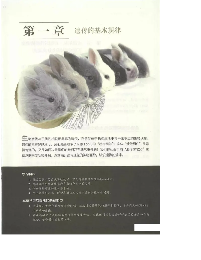 2019新浙科版高中生物必修2《遗传与进化》电子课本_4-教培资料-26年最新资料-同步更新_初中高中教资_03科三专项（进去保存报考的学科即可）_112025高中科目（全）电子教材
