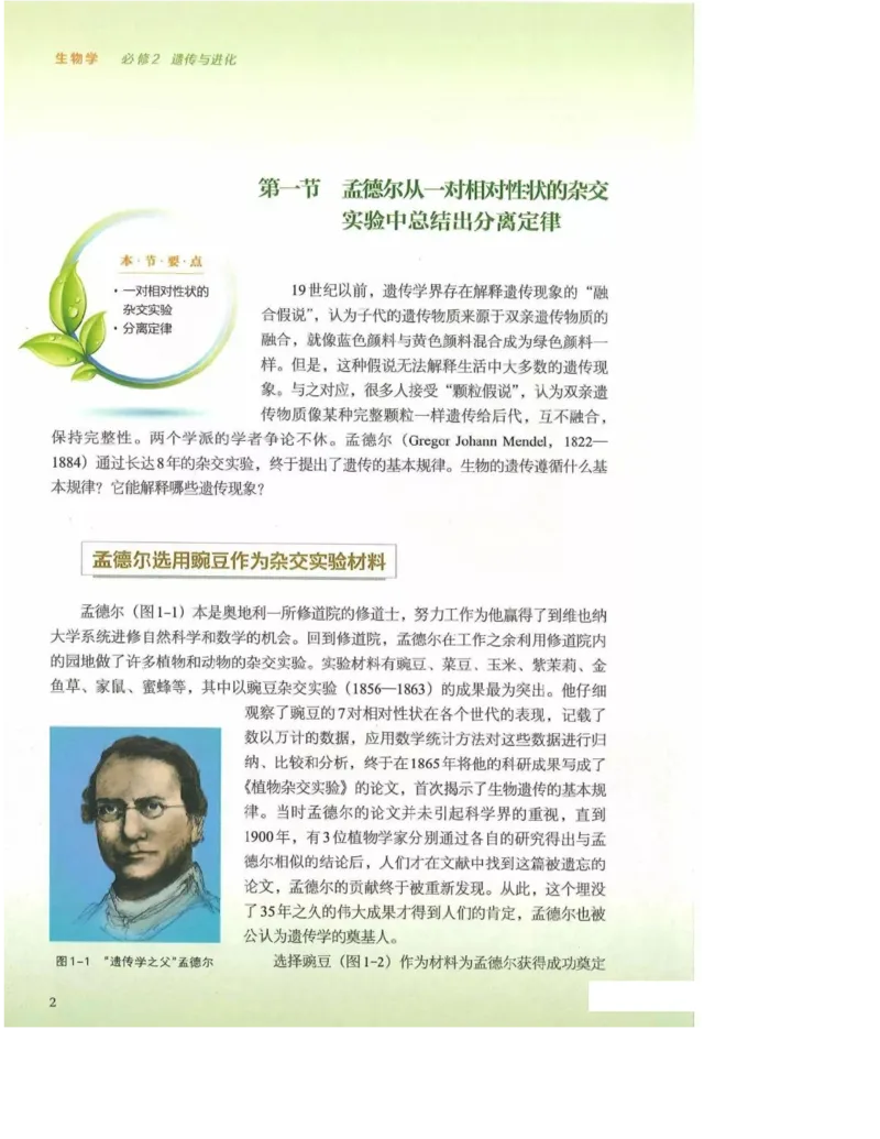 2019新浙科版高中生物必修2《遗传与进化》电子课本_4-教培资料-26年最新资料-同步更新_初中高中教资_03科三专项（进去保存报考的学科即可）_112025高中科目（全）电子教材