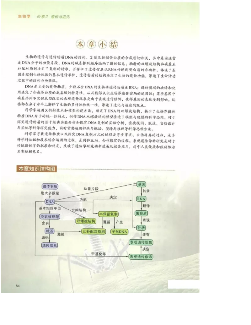2019新浙科版高中生物必修2《遗传与进化》电子课本_4-教培资料-26年最新资料-同步更新_初中高中教资_03科三专项（进去保存报考的学科即可）_112025高中科目（全）电子教材