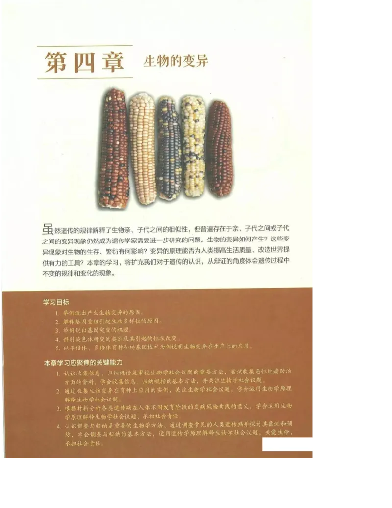 2019新浙科版高中生物必修2《遗传与进化》电子课本_4-教培资料-26年最新资料-同步更新_初中高中教资_03科三专项（进去保存报考的学科即可）_112025高中科目（全）电子教材