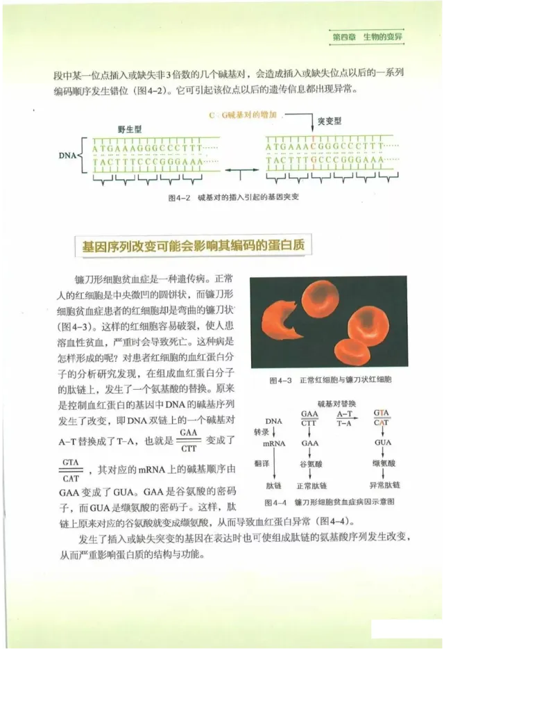 2019新浙科版高中生物必修2《遗传与进化》电子课本_4-教培资料-26年最新资料-同步更新_初中高中教资_03科三专项（进去保存报考的学科即可）_112025高中科目（全）电子教材