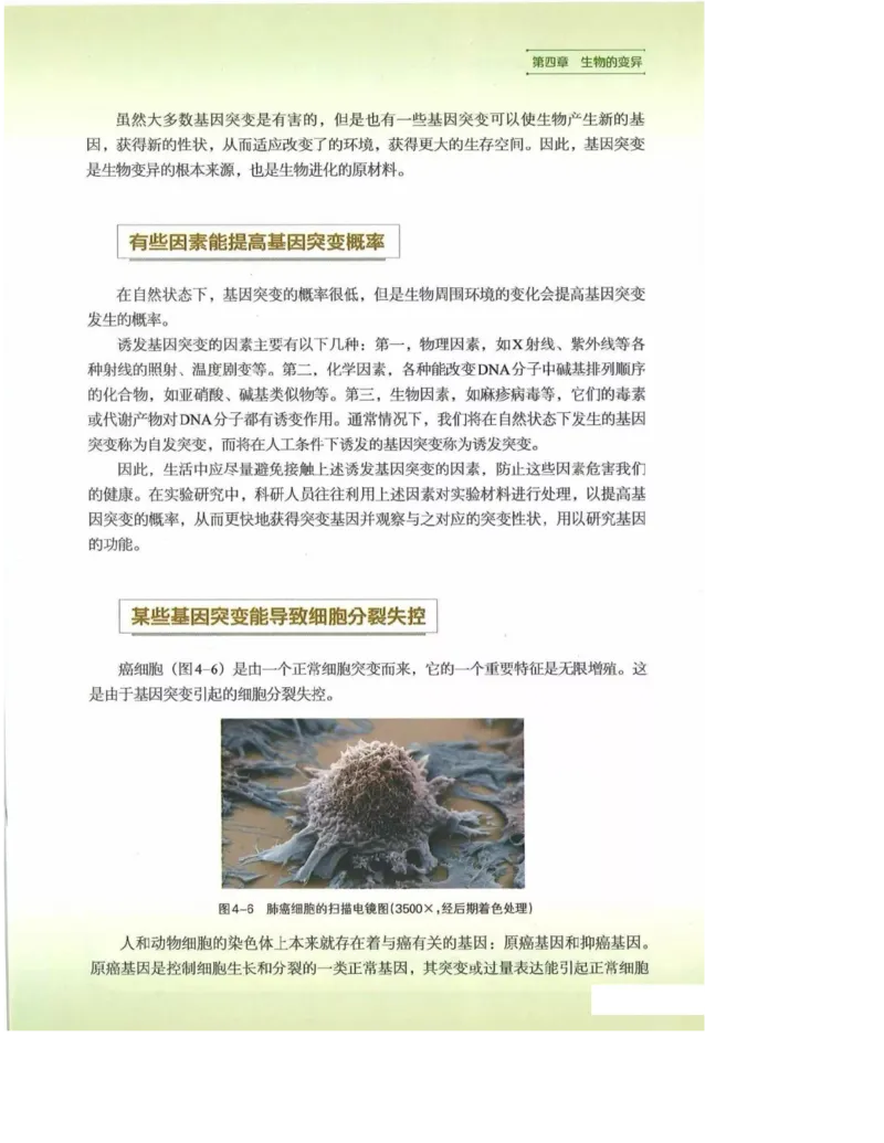 2019新浙科版高中生物必修2《遗传与进化》电子课本_4-教培资料-26年最新资料-同步更新_初中高中教资_03科三专项（进去保存报考的学科即可）_112025高中科目（全）电子教材