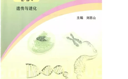 2019新浙科版高中生物必修2《遗传与进化》电子课本_4-教培资料-26年最新资料-同步更新_初中高中教资_03科三专项（进去保存报考的学科即可）_112025高中科目（全）电子教材