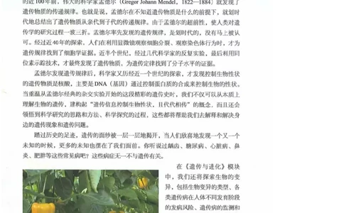 2019新浙科版高中生物必修2《遗传与进化》电子课本_4-教培资料-26年最新资料-同步更新_初中高中教资_03科三专项（进去保存报考的学科即可）_112025高中科目（全）电子教材