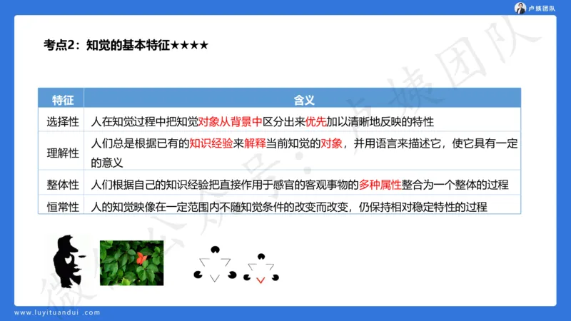 2.16小科二单选与简答急救-2_4-教培资料-26年最新资料-同步更新_小学教资_0325上急救班卢姨（小学科一科二）_25上小学科二急救班_02科二课件（更新）