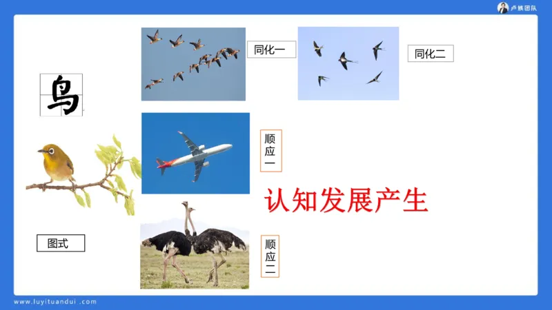 2.18小科二单选与简答急救-3_4-教培资料-26年最新资料-同步更新_小学教资_0325上急救班卢姨（小学科一科二）_25上小学科二急救班_02科二课件（更新）