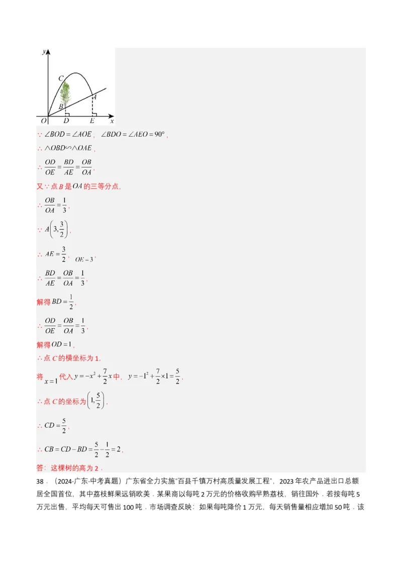 专题12二次函数（解析版）_2数学总复习_2025中考复习资料_备战2025年中考数学真题题源解密（全国通用）