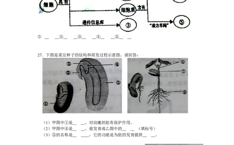 2010年长沙市中考生物试题和答案_中考真题_8.生物中考真题2015-2024年_地区卷_湖南省_湖南长沙生物08-22