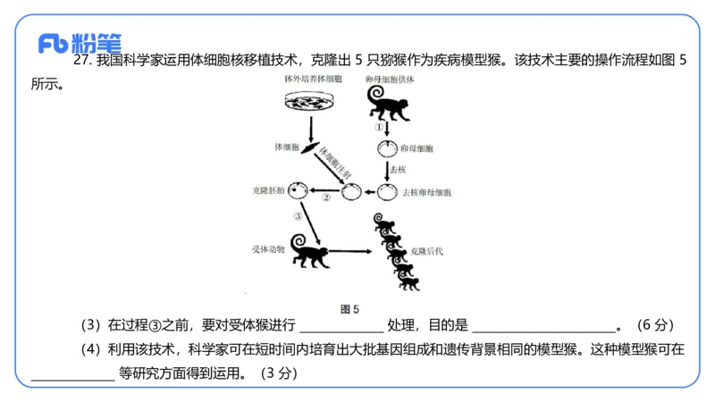 2023下-高中生物_4-教培资料-26年最新资料-同步更新_初中高中教资_03科三专项（进去保存报考的学科即可）_01科目三FB网课、三色速记手册、知识点导图等推荐_初中_3.历年真题