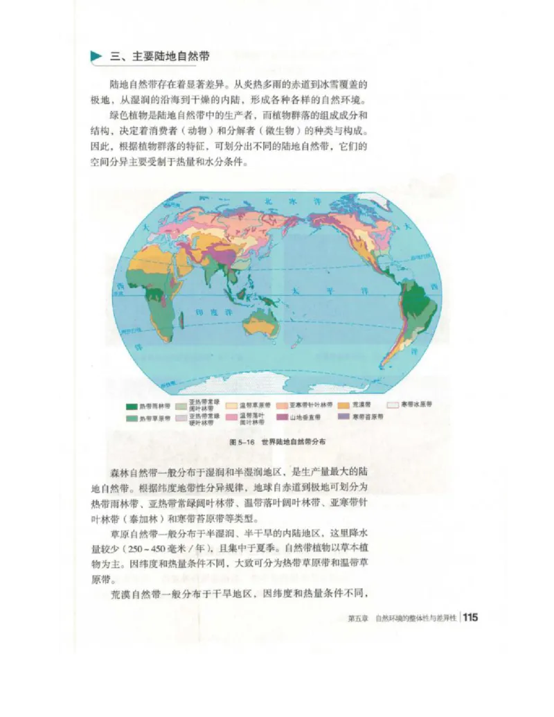 2020新湘教版高中地理选择性必修一_4-教培资料-26年最新资料-同步更新_初中高中教资_03科三专项（进去保存报考的学科即可）_02科三专项（笔记真题思维导图教学设计版本二）