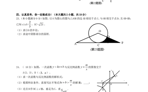 2011年山东省临沂市中考数学试题及答案_中考真题_2.数学中考真题2015-2024年_地区卷_山东省_临沂数学08-22
