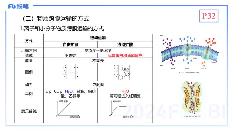 1.19晚-细胞生物学2-拾光_4-教培资料-26年最新资料-同步更新_科一科二电子资料合集中小幼（笔记真题知识点汇总等）文件多，按需保存_各机构笔记合集（中小幼）推荐_01理论精讲