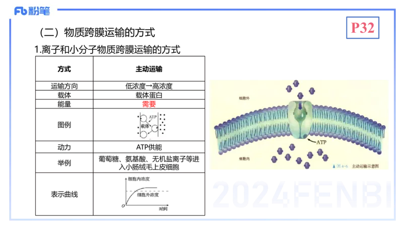 1.19晚-细胞生物学2-拾光_4-教培资料-26年最新资料-同步更新_科一科二电子资料合集中小幼（笔记真题知识点汇总等）文件多，按需保存_各机构笔记合集（中小幼）推荐_01理论精讲