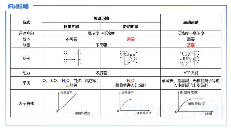 1.19晚-细胞生物学2-拾光_4-教培资料-26年最新资料-同步更新_科一科二电子资料合集中小幼（笔记真题知识点汇总等）文件多，按需保存_各机构笔记合集（中小幼）推荐_01理论精讲