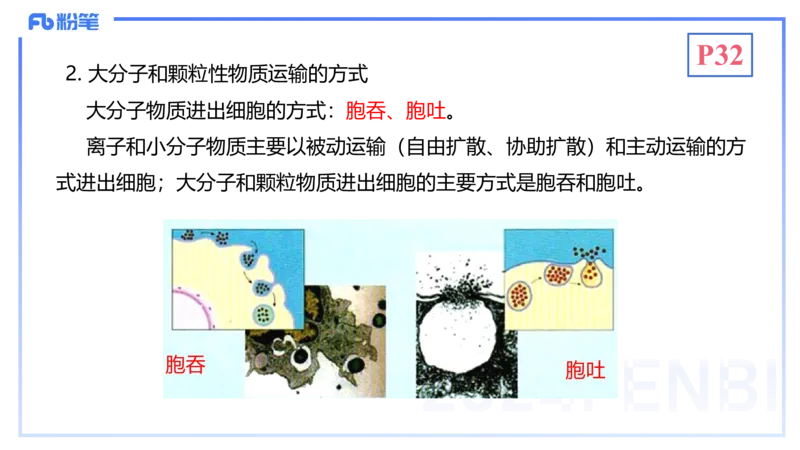 1.19晚-细胞生物学2-拾光_4-教培资料-26年最新资料-同步更新_科一科二电子资料合集中小幼（笔记真题知识点汇总等）文件多，按需保存_各机构笔记合集（中小幼）推荐_01理论精讲