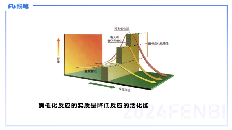 1.19晚-细胞生物学2-拾光_4-教培资料-26年最新资料-同步更新_科一科二电子资料合集中小幼（笔记真题知识点汇总等）文件多，按需保存_各机构笔记合集（中小幼）推荐_01理论精讲