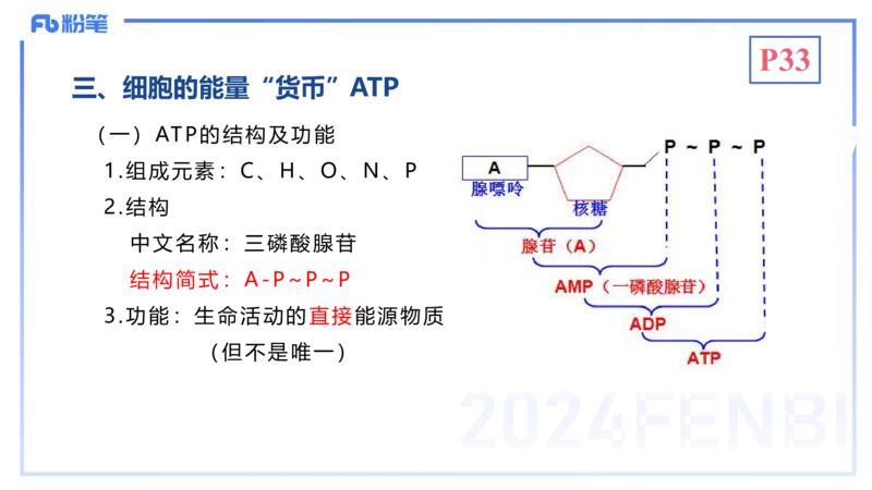 1.19晚-细胞生物学2-拾光_4-教培资料-26年最新资料-同步更新_科一科二电子资料合集中小幼（笔记真题知识点汇总等）文件多，按需保存_各机构笔记合集（中小幼）推荐_01理论精讲