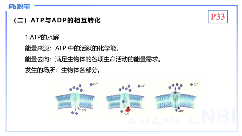 1.19晚-细胞生物学2-拾光_4-教培资料-26年最新资料-同步更新_科一科二电子资料合集中小幼（笔记真题知识点汇总等）文件多，按需保存_各机构笔记合集（中小幼）推荐_01理论精讲
