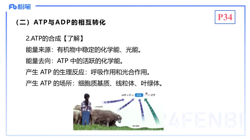 1.19晚-细胞生物学2-拾光_4-教培资料-26年最新资料-同步更新_科一科二电子资料合集中小幼（笔记真题知识点汇总等）文件多，按需保存_各机构笔记合集（中小幼）推荐_01理论精讲