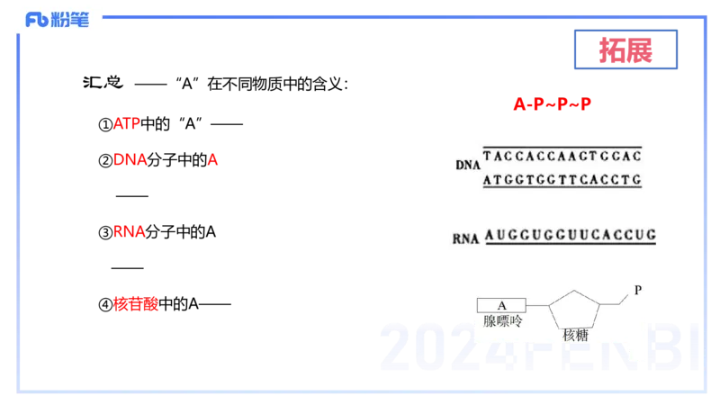 1.19晚-细胞生物学2-拾光_4-教培资料-26年最新资料-同步更新_科一科二电子资料合集中小幼（笔记真题知识点汇总等）文件多，按需保存_各机构笔记合集（中小幼）推荐_01理论精讲