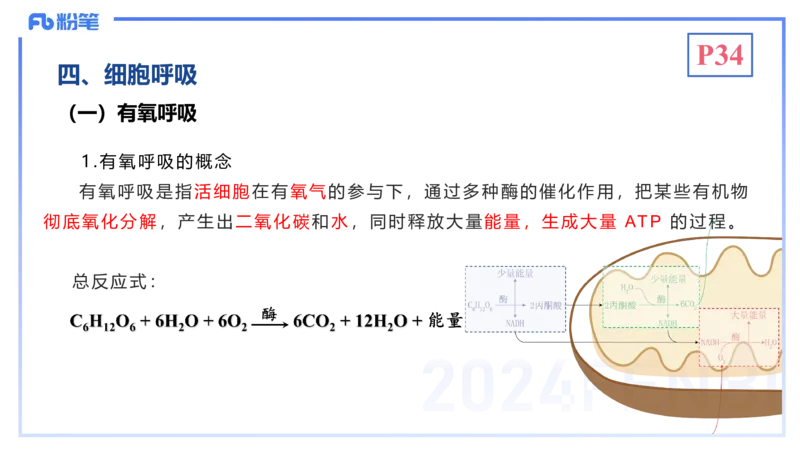 1.19晚-细胞生物学2-拾光_4-教培资料-26年最新资料-同步更新_科一科二电子资料合集中小幼（笔记真题知识点汇总等）文件多，按需保存_各机构笔记合集（中小幼）推荐_01理论精讲