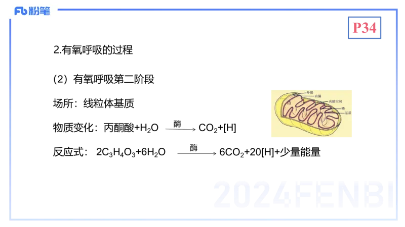 1.19晚-细胞生物学2-拾光_4-教培资料-26年最新资料-同步更新_科一科二电子资料合集中小幼（笔记真题知识点汇总等）文件多，按需保存_各机构笔记合集（中小幼）推荐_01理论精讲