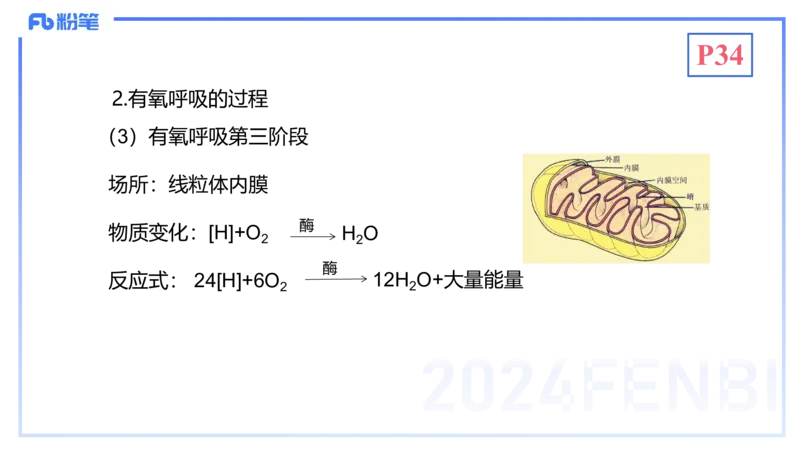 1.19晚-细胞生物学2-拾光_4-教培资料-26年最新资料-同步更新_科一科二电子资料合集中小幼（笔记真题知识点汇总等）文件多，按需保存_各机构笔记合集（中小幼）推荐_01理论精讲