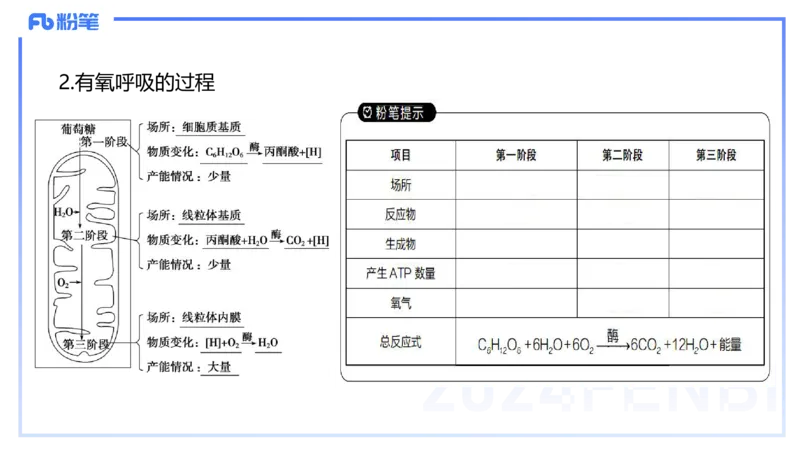 1.19晚-细胞生物学2-拾光_4-教培资料-26年最新资料-同步更新_科一科二电子资料合集中小幼（笔记真题知识点汇总等）文件多，按需保存_各机构笔记合集（中小幼）推荐_01理论精讲
