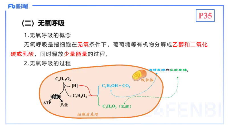 1.19晚-细胞生物学2-拾光_4-教培资料-26年最新资料-同步更新_科一科二电子资料合集中小幼（笔记真题知识点汇总等）文件多，按需保存_各机构笔记合集（中小幼）推荐_01理论精讲