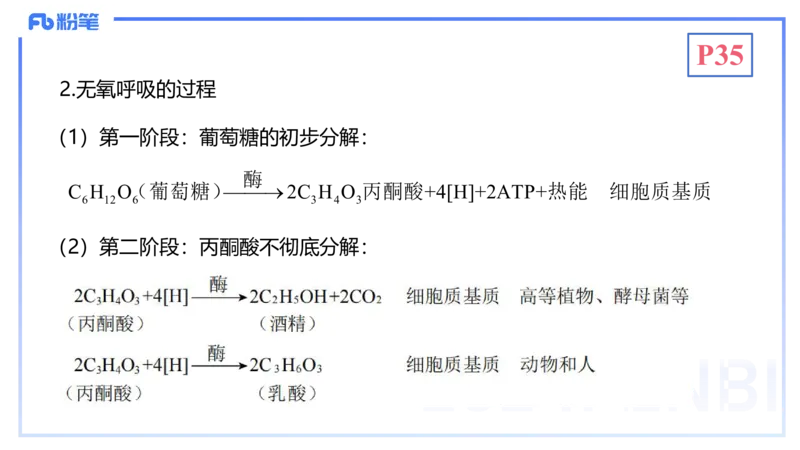 1.19晚-细胞生物学2-拾光_4-教培资料-26年最新资料-同步更新_科一科二电子资料合集中小幼（笔记真题知识点汇总等）文件多，按需保存_各机构笔记合集（中小幼）推荐_01理论精讲