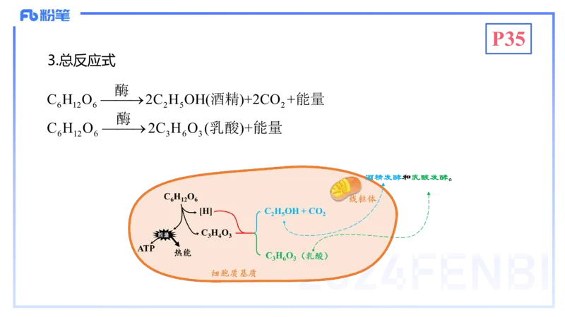 1.19晚-细胞生物学2-拾光_4-教培资料-26年最新资料-同步更新_科一科二电子资料合集中小幼（笔记真题知识点汇总等）文件多，按需保存_各机构笔记合集（中小幼）推荐_01理论精讲