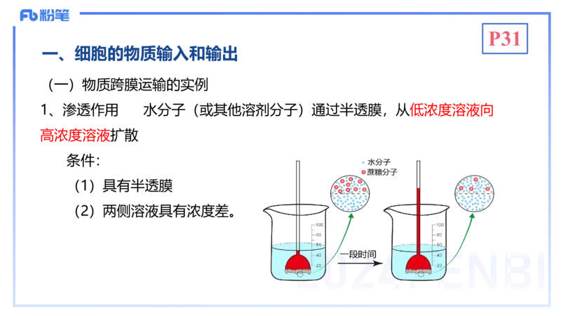1.19晚-细胞生物学2-拾光_4-教培资料-26年最新资料-同步更新_科一科二电子资料合集中小幼（笔记真题知识点汇总等）文件多，按需保存_各机构笔记合集（中小幼）推荐_01理论精讲