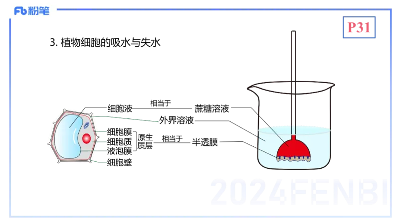 1.19晚-细胞生物学2-拾光_4-教培资料-26年最新资料-同步更新_科一科二电子资料合集中小幼（笔记真题知识点汇总等）文件多，按需保存_各机构笔记合集（中小幼）推荐_01理论精讲