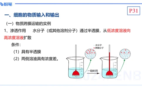 1.19晚-细胞生物学2-拾光_4-教培资料-26年最新资料-同步更新_科一科二电子资料合集中小幼（笔记真题知识点汇总等）文件多，按需保存_各机构笔记合集（中小幼）推荐_01理论精讲