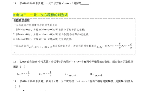 专题06一元二次方程（原卷版）_2数学总复习_2025中考复习资料_备战2025年中考数学真题题源解密（全国通用）