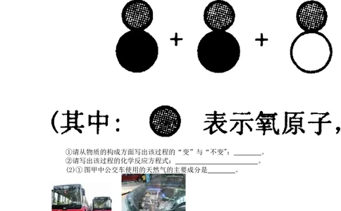 2010年枣庄市中考化学试卷及答案_中考真题_5.化学中考真题2015-2024年_地区卷_山东省_山东枣庄化学09-21